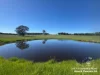 Lot 711 Tapscotts Road, Mount Pleasant, SA 5235-Image
