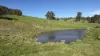 Lot 744 Richards Road, Ferguson, WA 6236-Image