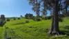 Lot 744 Richards Road, Ferguson, WA 6236-Image