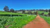 Lot 744 Richards Road, Ferguson, WA 6236-Image