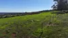Lot 744 Richards Road, Ferguson, WA 6236-Image