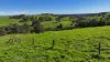 Lot 744 Richards Road, Ferguson, WA 6236-Image
