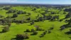 Lot 744 Richards Road, Ferguson, WA 6236-Image