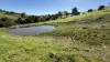 Lot 744 Richards Road, Ferguson, WA 6236-Image