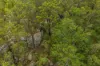 Lot 80, Tabulam NSW 2469-Image
