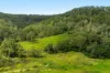 Lot 80, Tabulam NSW 2469-Image