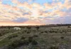 Lot 8101 Goldfields Road, Kellerberrin, WA 6410