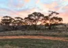 Lot 8101 Goldfields Road, Kellerberrin, WA 6410-Image