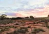 Lot 8101 Goldfields Road, Kellerberrin, WA 6410-Image