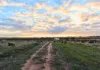 Lot 8101 Goldfields Road, Kellerberrin, WA 6410-Image