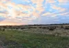 Lot 8101 Goldfields Road, Kellerberrin, WA 6410-Image