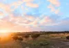Lot 8101 Goldfields Road, Kellerberrin, WA 6410-Image