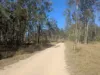 Lot 83 Wallers Road,, Ringwood, Qld 4343-Image