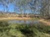 Lot 83 Wallers Road,, Ringwood, Qld 4343-Image
