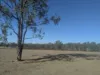 Lot 83 Wallers Road,, Ringwood, Qld 4343-Image