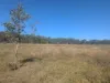 Lot 83 Wallers Road,, Ringwood, Qld 4343-Image