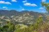 Lot 88 Off Carrowbrook Road, Singleton NSW 2330-Image