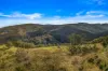 Lot 88 Off Carrowbrook Road, Singleton NSW 2330-Image