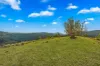 Lot 88 Off Carrowbrook Road, Singleton NSW 2330-Image