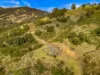 Lot 88 Off Carrowbrook Road, Singleton NSW 2330-Image