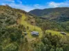 Lot 88 Off Carrowbrook Road, Singleton NSW 2330-Image