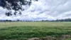 Lot 9 McLarty Street, Coolup, WA 6214-Image