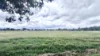Lot 9 McLarty Street, Coolup, WA 6214-Image
