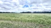 Lot 9 McLarty Street, Coolup, WA 6214-Image