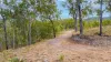 Lot 96 Avocado Crescent, Captain Creek QLD 4677-Image