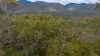 Lot 96 Avocado Crescent, Captain Creek QLD 4677-Image