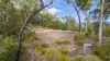 Lot 96 Avocado Crescent, Captain Creek QLD 4677-Image