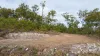 Lot 96 Avocado Crescent, Captain Creek QLD 4677-Image