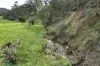 Lots 1/5, 6, 7, Georges Creek VIC 3700-Image