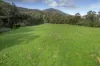 Lots 1/5, 6, 7, Georges Creek VIC 3700-Image