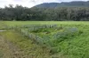 Lots 1/5, 6, 7, Georges Creek VIC 3700-Image