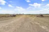 Lots 3 & 5, 423  Millmerran Inglewood Road, Millmerran, Qld 4357-Image