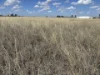 Lots 76-78 Hodgson Lane North, Roma, Qld 4455-Image