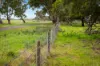 Lots 7,8-9 Racecourse Road, Kalangadoo, SA 5278-Image