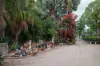 , Mareeba QLD 4880-Image