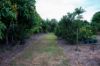 , Mareeba QLD 4880-Image