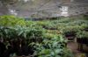 , Mareeba QLD 4880-Image