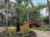 , Mareeba QLD 4880-Image