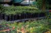 , Mareeba QLD 4880-Image