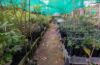 , Mareeba QLD 4880-Image