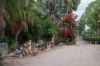 , Mareeba QLD 4880-Image