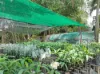 , Mareeba QLD 4880-Image