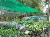 , Mareeba QLD 4880-Image