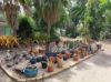 , Mareeba QLD 4880-Image