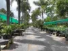 , Mareeba QLD 4880-Image