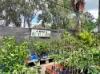 , Mareeba QLD 4880-Image